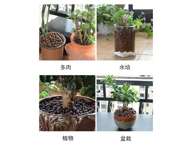 花卉類景觀陶粒